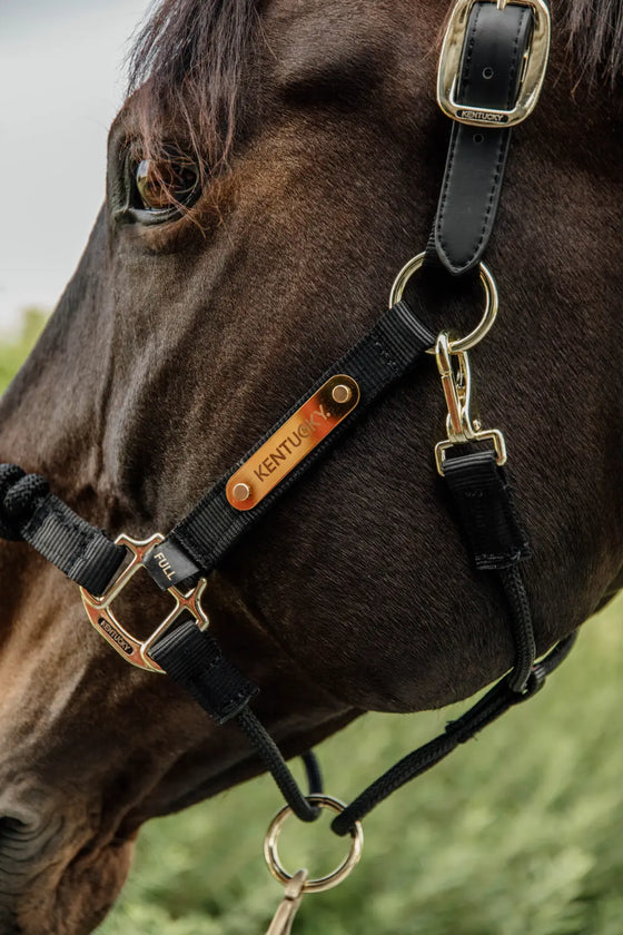 Kentucky Control Halter