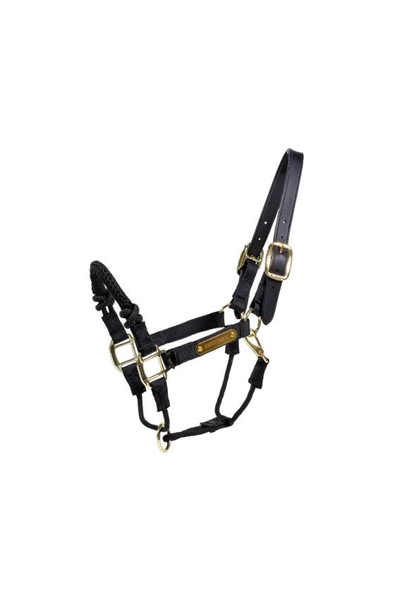 Kentucky Control Halter