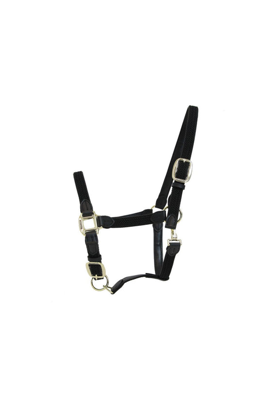 KENTUCKY PLAITED NYLON HALTER