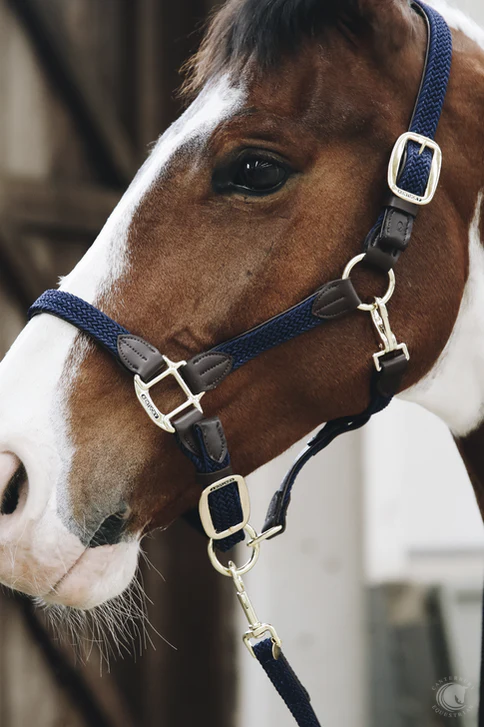 KENTUCKY PLAITED NYLON HALTER