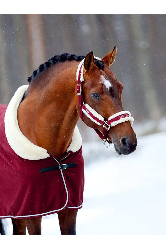 Equestrian Stockholm Halter Lead Set's