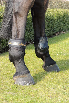 Kentucky Light Young Horse Fetlock Boots